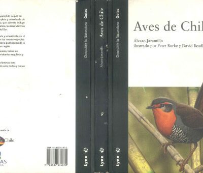 خرید و دانلود نسخه کامل کتاب Aves de Chile: incluye la península Antártica, las islas Malvinas y Georgia del Sur