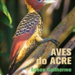 خرید و دانلود نسخه کامل کتاب Aves do Acre