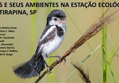 خرید و دانلود نسخه کامل کتاب Aves e seus ambientes na Estação Ecológica de Itirapina, SP