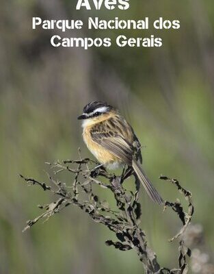 خرید و دانلود نسخه کامل کتاب Aves Parque Nacional dos Campos Gerais