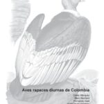 خرید و دانلود نسخه کامل کتاب Aves Rapaces Diurnas de Colombia (Diurnal Raptors of Colombia)  spanish