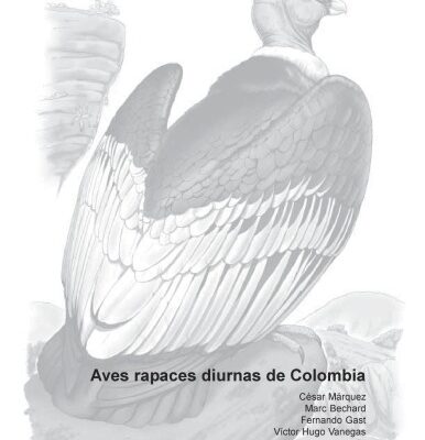 خرید و دانلود نسخه کامل کتاب Aves Rapaces Diurnas de Colombia (Diurnal Raptors of Colombia) spanish