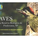 خرید و دانلود نسخه کامل کتاب Aves-REBIO-Pindorama-SP-2012