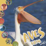 خرید و دانلود نسخه کامل کتاب Aves