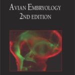 خرید و دانلود نسخه کامل کتاب Avian Embryology, 2nd Edition