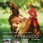 خرید و دانلود نسخه کامل کتاب Avian immunology