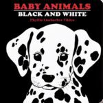 خرید و دانلود نسخه کامل کتاب Baby Animals – Black and White