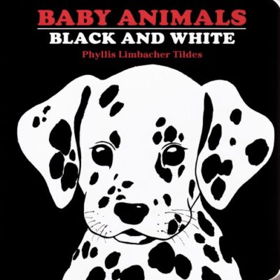 خرید و دانلود نسخه کامل کتاب Baby Animals – Black and White