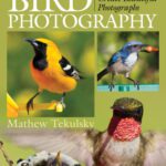 خرید و دانلود نسخه کامل کتاب Backyard Bird Photography. How to Attract Birds to Your Home and Create Beautiful Photographs
