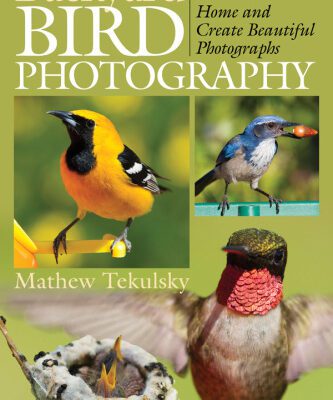 خرید و دانلود نسخه کامل کتاب Backyard Bird Photography. How to Attract Birds to Your Home and Create Beautiful Photographs