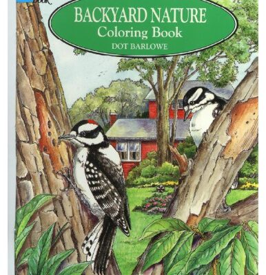 خرید و دانلود نسخه کامل کتاب Backyard Nature Coloring Book