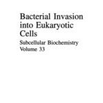 خرید و دانلود نسخه کامل کتاب Bacterial Invasion into Eukaryotic Cells: Subcellular Biochemistry