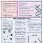 خرید و دانلود نسخه کامل کتاب BarCharts QuickStudy Biology