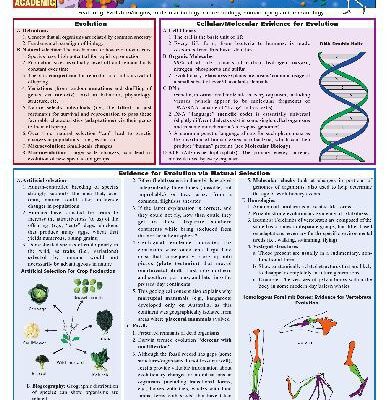 خرید و دانلود نسخه کامل کتاب BarCharts QuickStudy Biology