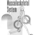خرید و دانلود نسخه کامل کتاب Basic Biomechanics of the Musculoskeletal System 3rd Edition