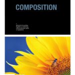 خرید و دانلود نسخه کامل کتاب Basics Photography 01: Composition