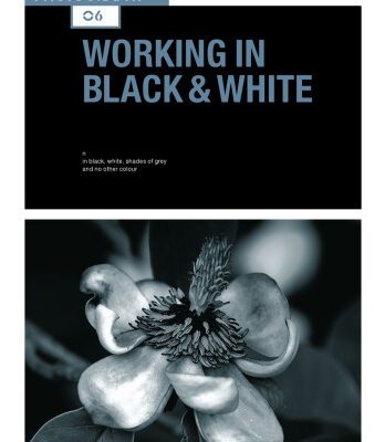 خرید و دانلود نسخه کامل کتاب Basics Photography 06: Working in Black & White