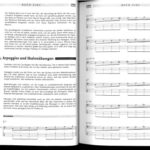 خرید و دانلود نسخه کامل کتاب Bass Bible, dtsch. Ausgabe