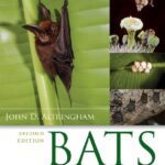 خرید و دانلود نسخه کامل کتاب Bats. From evolution to conservation