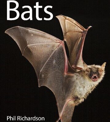 خرید و دانلود نسخه کامل کتاب Bats