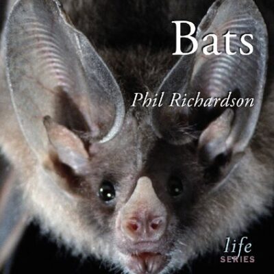 خرید و دانلود نسخه کامل کتاب Bats