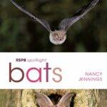 خرید و دانلود نسخه کامل کتاب Bats