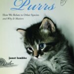خرید و دانلود نسخه کامل کتاب Because the Cat Purrs: How We Relate to Other Species and Why it Matters