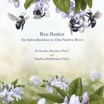 خرید و دانلود نسخه کامل کتاب Bee Basics: An Introduction to Our Native Bees