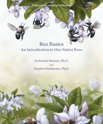 خرید و دانلود نسخه کامل کتاب Bee Basics: An Introduction to Our Native Bees