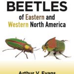 خرید و دانلود نسخه کامل کتاب Beetles of Eastern and Western North America (2-volume set)