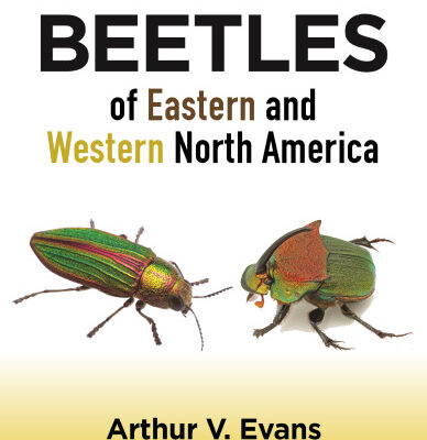 خرید و دانلود نسخه کامل کتاب Beetles of Eastern and Western North America (2-volume set)