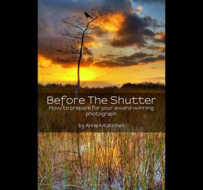 خرید و دانلود نسخه کامل کتاب Before The Shutter: How to prepare for your award-winning photograph