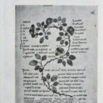 خرید و دانلود نسخه کامل کتاب Beowulf