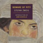 خرید و دانلود نسخه کامل کتاب Beware of Pity
