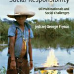 خرید و دانلود نسخه کامل کتاب Beyond Corporate Social Responsibility: Oil Multinationals and Social Challenges