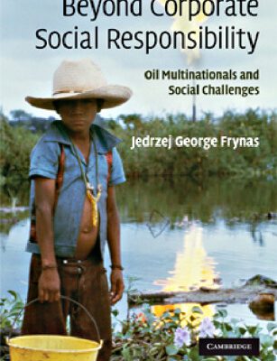 خرید و دانلود نسخه کامل کتاب Beyond Corporate Social Responsibility: Oil Multinationals and Social Challenges