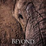 خرید و دانلود نسخه کامل کتاب Beyond the Secret Elephants: On mystery, elephants and discovery