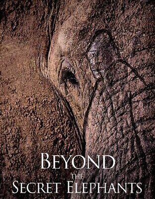 خرید و دانلود نسخه کامل کتاب Beyond the Secret Elephants: On mystery, elephants and discovery