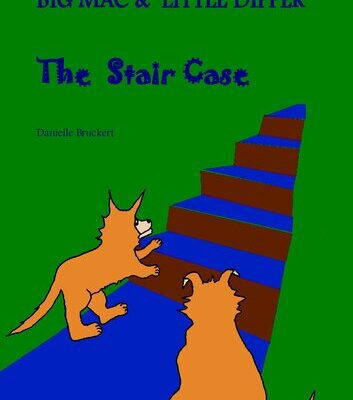 خرید و دانلود نسخه کامل کتاب Big Mac and Little Dipper: The Stair Case