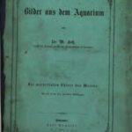 خرید و دانلود نسخه کامل کتاب Bilder aus dem Aquarium / Die wirbellosen Thiere des Meeres