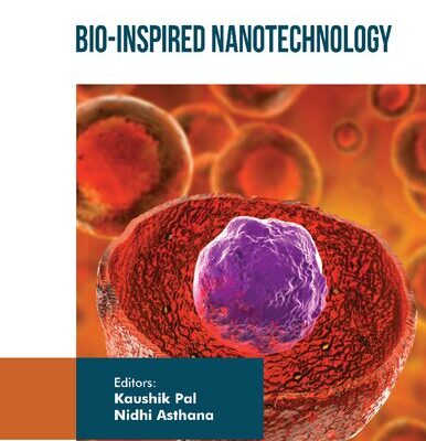 خرید و دانلود نسخه کامل کتاب Bio-Inspired Nanotechnology