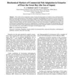 خرید و دانلود نسخه کامل کتاب Biochemical markers of commercial fish adaptation in estuaries of Peter the Great Bay (the Sea of Japan)