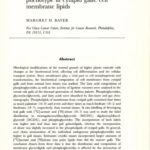 خرید و دانلود نسخه کامل کتاب Biochemical modification of the phenotype in cynipid galls: cell membrane lipids