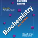 خرید و دانلود نسخه کامل کتاب Biochemistry, 5th Edition (Lippincott’s Illustrated Reviews)