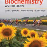 خرید و دانلود نسخه کامل کتاب Biochemistry: A Short Course