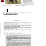 خرید و دانلود نسخه کامل کتاب Biochemistry – Board Review Series [index at end]