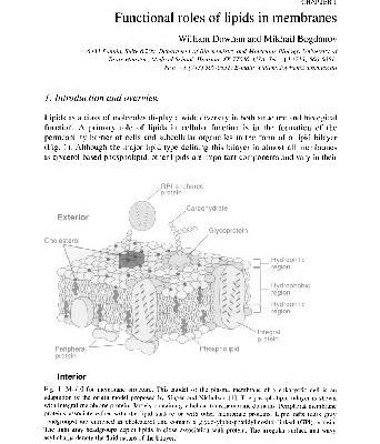 خرید و دانلود نسخه کامل کتاب Biochemistry Lipids Lipoproteins and Membranes