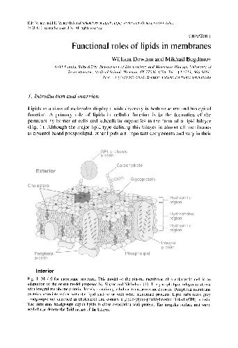 خرید و دانلود نسخه کامل کتاب Biochemistry Lipids Lipoproteins and Membranes_68e37c9a0b841.jpeg خرید و دانلود نسخه کامل کتاب Biochemistry Lipids Lipoproteins and Membranes