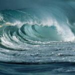 خرید و دانلود نسخه کامل کتاب Biochemistry