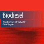خرید و دانلود نسخه کامل کتاب Biodiesel: A Realistic Fuel Alternative for Diesel Engines